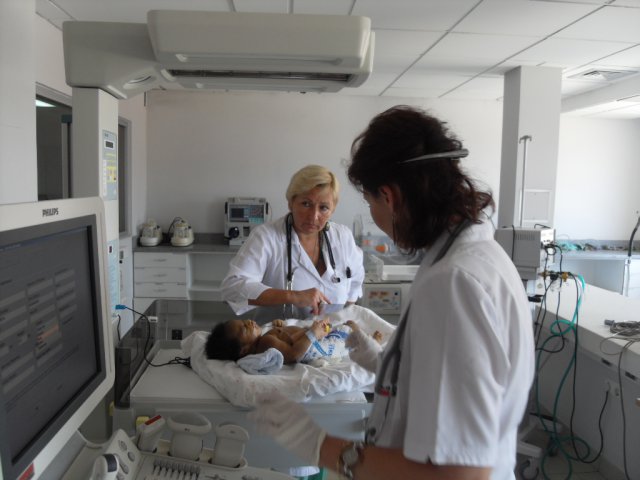 Doctors (6)