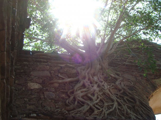 Malange (6)