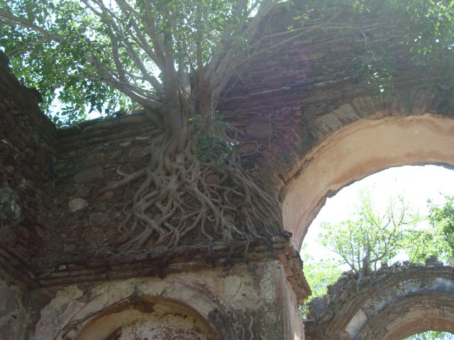 Malange (8)