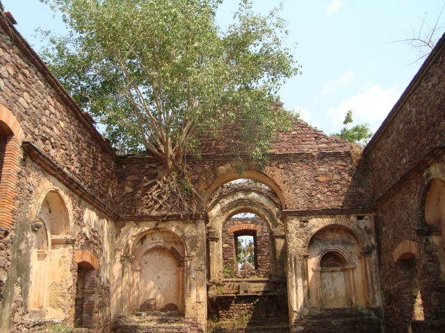 Malange (9)