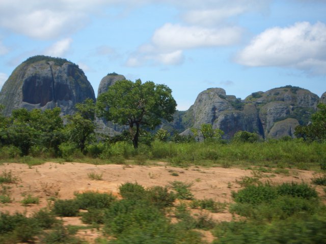 Malange (12)