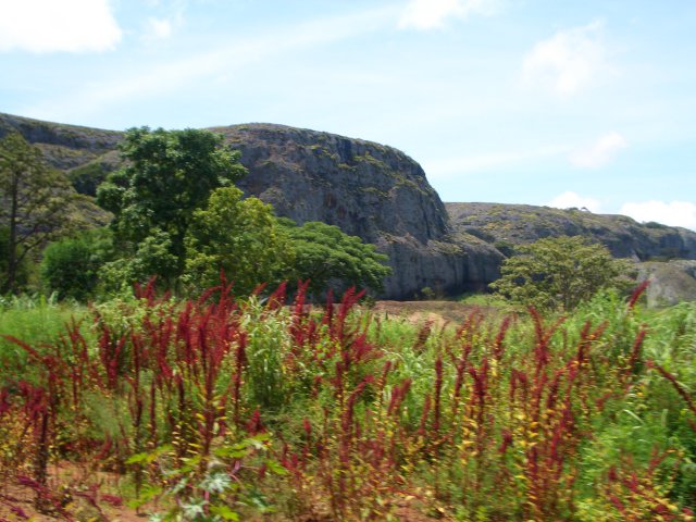 Malange (13)