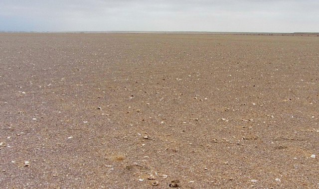Namib