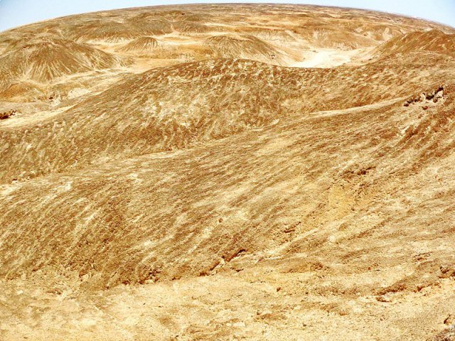 Namib (38)