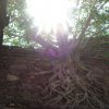 Malange (6)