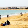 Namib (14)