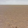 Namib (18)